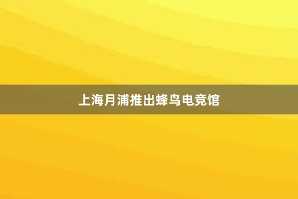 上海月浦推出蜂鸟电竞馆