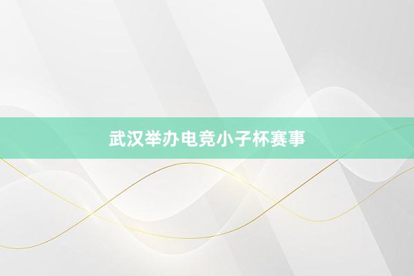 武汉举办电竞小子杯赛事