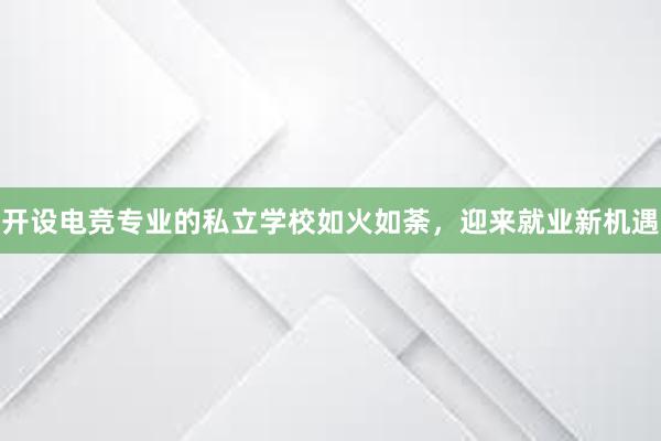 开设电竞专业的私立学校如火如荼，迎来就业新机遇