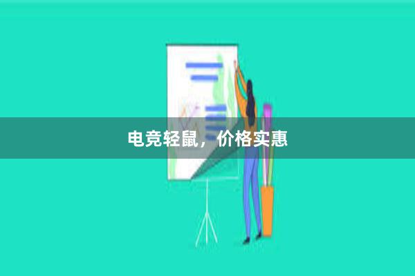 电竞轻鼠，价格实惠