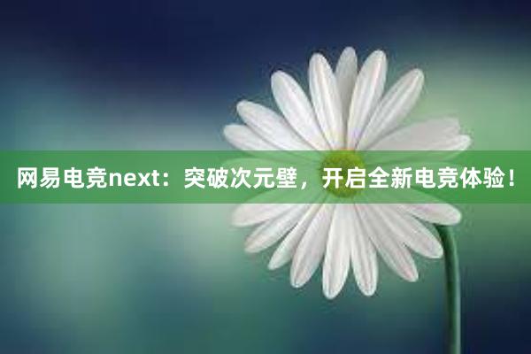 网易电竞next：突破次元壁，开启全新电竞体验！