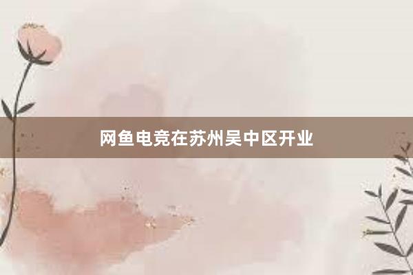 网鱼电竞在苏州吴中区开业